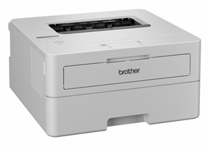 Brother HL-L2865DW