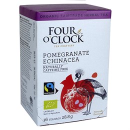 Four O'Clock Pomegranate Echinacea 6-pack