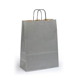 Bärkasse Medium Silver