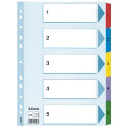 Pärmregister Esselte Mylar A4 1-5