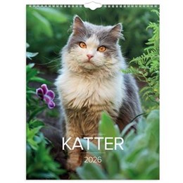 Kalender Stora Kattkalendern