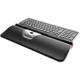Rollermouse Red Plus Wireless