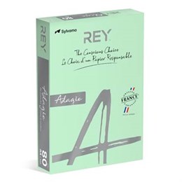 Kopieringspapper Rey Adagio A4 160g Green 500/pkt