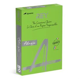 Kopieringspapper Rey Adagio A4 160g Deep Green 500/pkt
