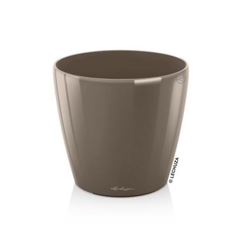 Light_Classico_Latte_350.jpg